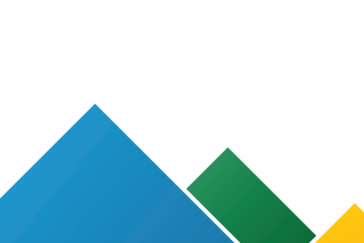 Australian Digital Inclusion Alliance - Position Paper: A National Approach to Digital Inclusion